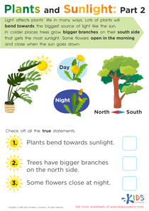 1st Grade Science Worksheets: Free Printable Science PDF Worksheets for ...